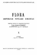 Relativity Simply Explained