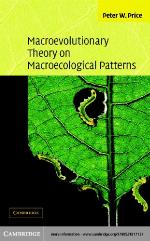 Macroevolutionary Theory on Macroecological Patterns