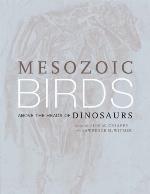 Mesozoic Birds