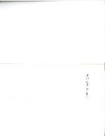 Pacifying the Homeland