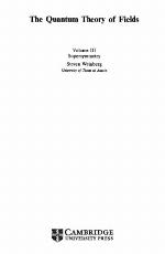 The Quantum Theory of Fields