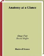 Anatomy At A Glance