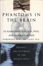 Phantoms in the Brain