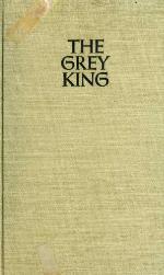The Grey King