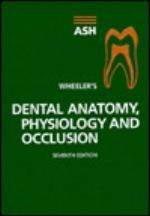 Wheeler's Dental Anatomy, Physiology and Occlusion