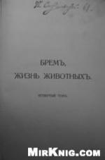 Crime and Punishment in America