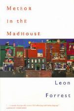 Meteor in the Madhouse