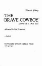The Brave Cowboy