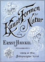 From Latin to Romance in Sound Charts