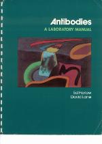 Antibodies