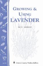 Growing  Using Lavender