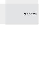 Agile Auditing