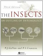 The Insects