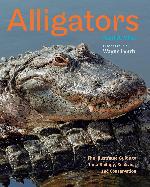 Alligators