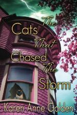 The Cats That Chased the Storm