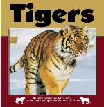 Tigers
