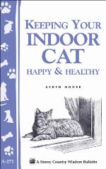 Keeping Your Indoor Cat Happy  Healthy