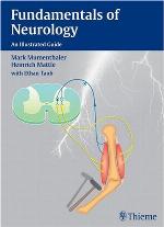 Fundamentals of Neurology