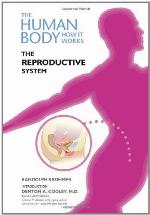 The Reproductive System