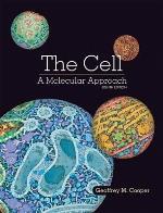 The Cell