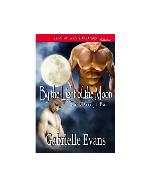 By the Light of the Moon