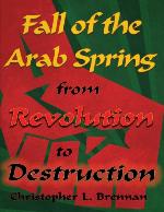 Fall of the Arab Spring