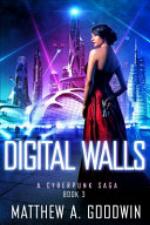 Digital Walls