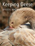 Keeping Geese