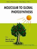 Molecular to Global Photosynthesis