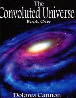 The Convoluted Universe, Book 1