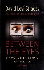 Between the Eyes: Essays on Photography and Politics