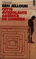 Cette aveuglante absence de lumière