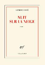 Nuit sur la neige