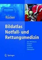 Implementation of Functional Languages.