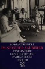 Im Netz der Zauberer. Eine andere Geschichte der Familie Mann.