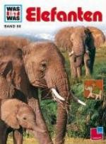 Elefanten
