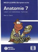 Anatomie Bd. 7. Leber und Gallenblase, Pankreas / [Marco Stein]