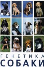 Genetika sobaki