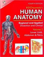 Human Anatomy