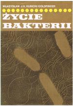 Życie bakterii