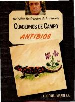 Anfibios