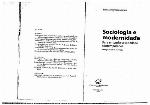 Sociologia e modernidade : para entender a sociedade contemporânea