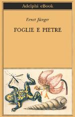 Foglie e pietre