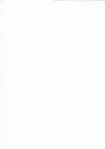 Grundriss der Akkadischen Grammatik