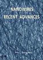 Hybrid Silicon Nanowires From Basic Research To Applied Nanotechnology