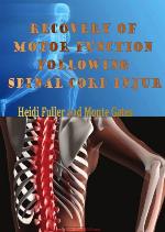 Role of The Neuroinflammation in The Degree of Spinal Cord injury New Therapeutic Strategies