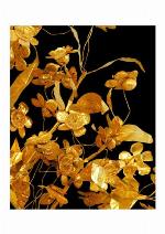 Archaeological Museum of Thessoloniki