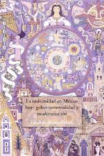 La universidad en México hoy : gubernamentalidad y modernización