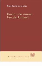 Hacia una nueva ley de amparo.
