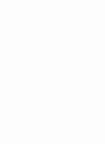 El Saqueo de Nicaragua